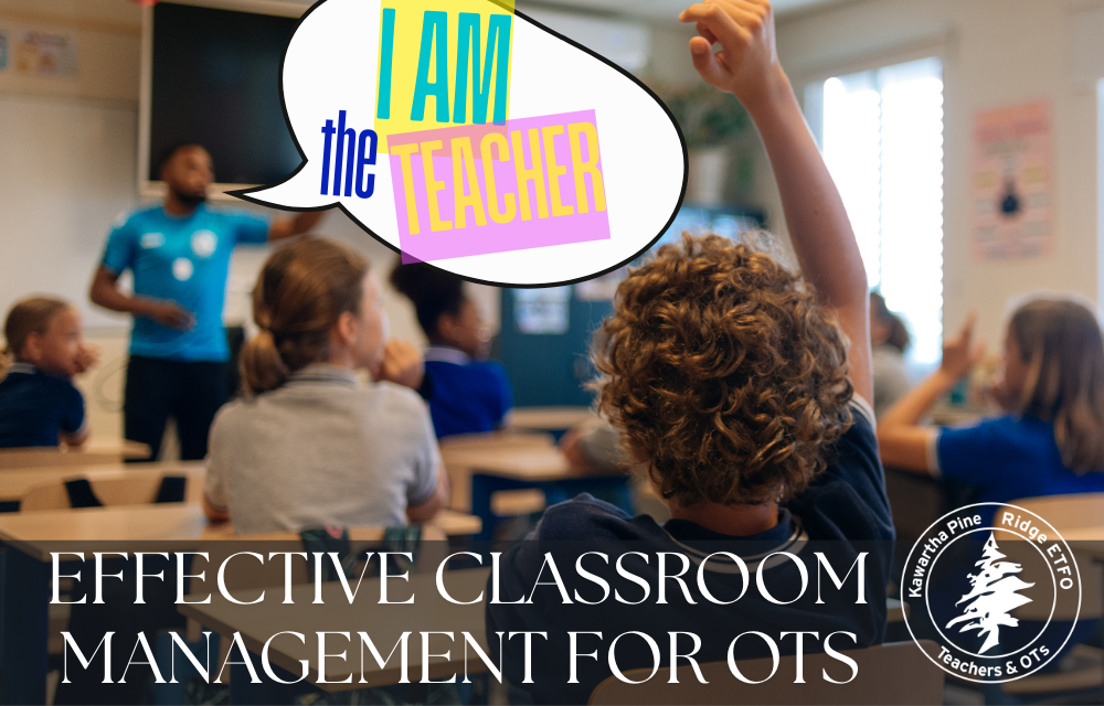 Workshop - "I am the Teacher" Classroom Management for OTs
